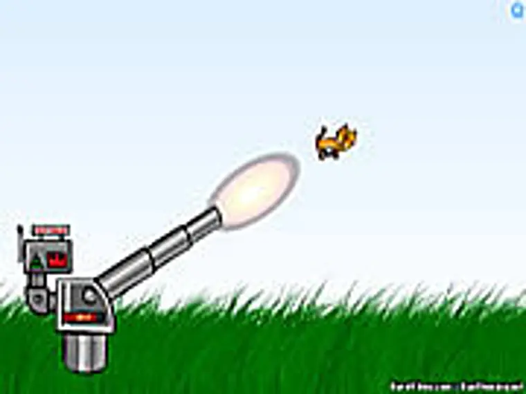 Котараци Canons